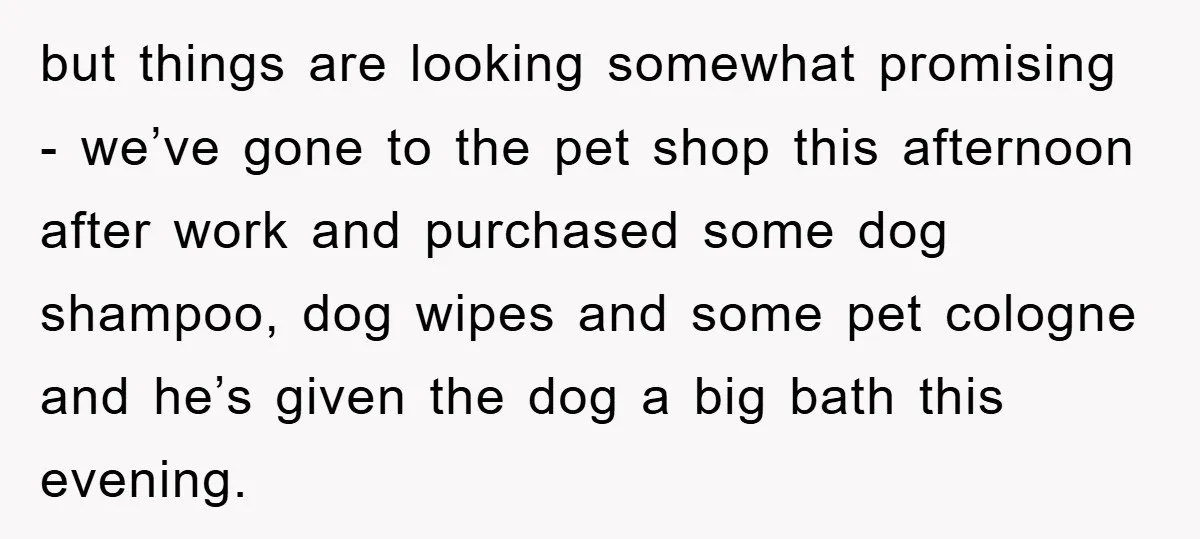 but things are looking somewhat promising - we’ve gone to the pet shop this afternoon after work and purchased some dog shampoo, dog wipes and some pet cologne and he’s...