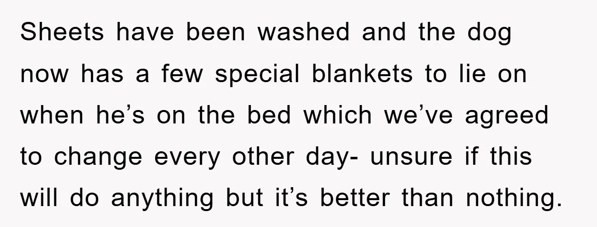 Sheets have been washed and the dog now has a few special blankets to lie on when he’s on the bed which we’ve agreed to change every other day- unsure...