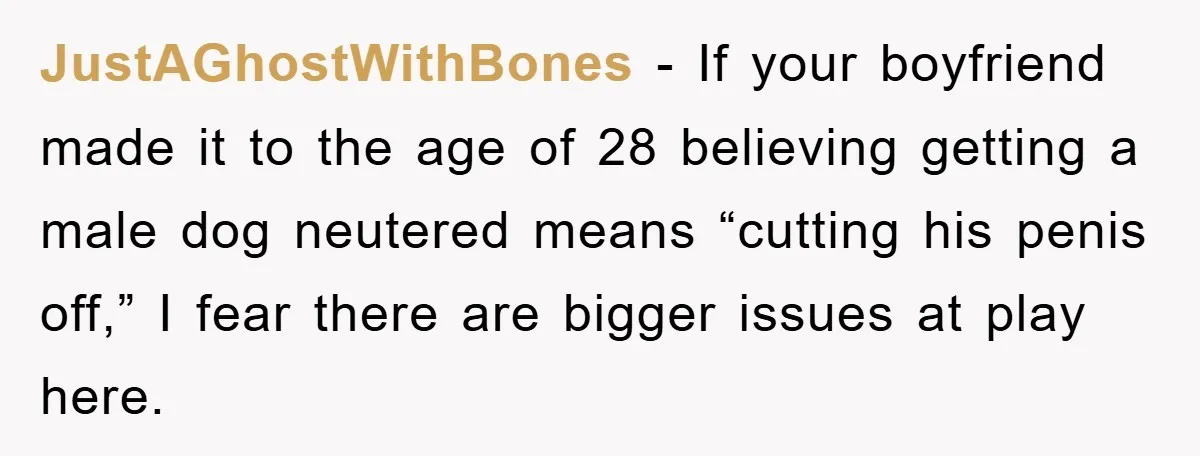 JustAGhostWithBones − If your boyfriend made it to the age of 28 believing getting a male dog neutered means “cutting his penis off,” I fear there are bigger issues at...