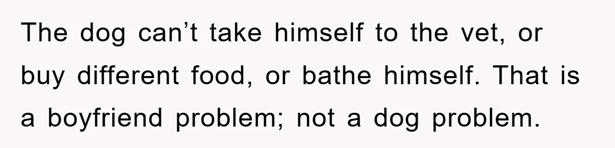 The dog can’t take himself to the vet, or buy different food, or bathe himself. That is a boyfriend problem; not a dog problem.