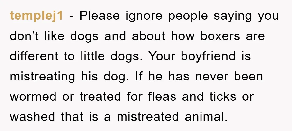 templej1 − Please ignore people saying you don’t like dogs and about how boxers are different to little dogs. Your boyfriend is mistreating his dog. If he has never been...