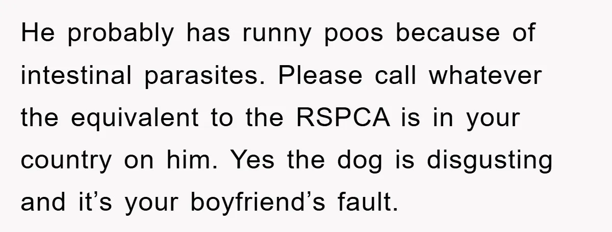 He probably has runny poos because of intestinal parasites. Please call whatever the equivalent to the RSPCA is in your country on him. Yes the dog is disgusting and it’s...