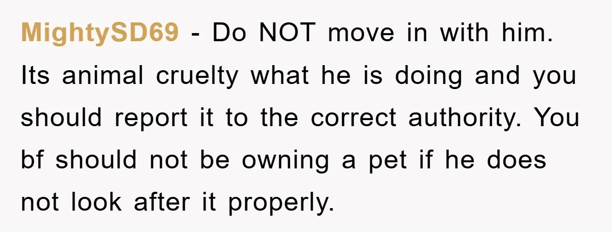 MightySD69 − Do NOT move in with him. Its animal cruelty what he is doing and you should report it to the correct authority. You bf should not be owning...