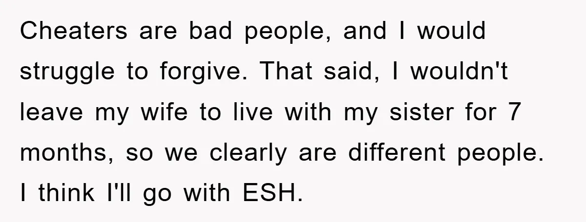 Cheaters are bad people, and I would struggle to forgive. That said, I wouldn't leave my wife to live with my sister for 7 months, so we clearly are different...