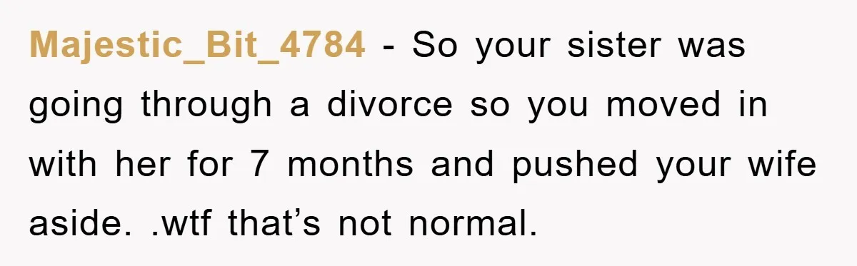Majestic_Bit_4784 − So your sister was going through a divorce so you moved in with her for 7 months and pushed your wife aside. .wtf that’s not normal.