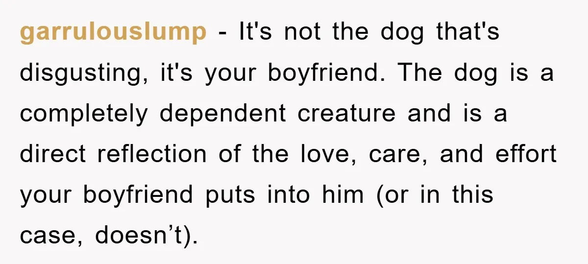 garrulouslump − It's not the dog that's disgusting, it's your boyfriend. The dog is a completely dependent creature and is a direct reflection of the love, care, and effort your...