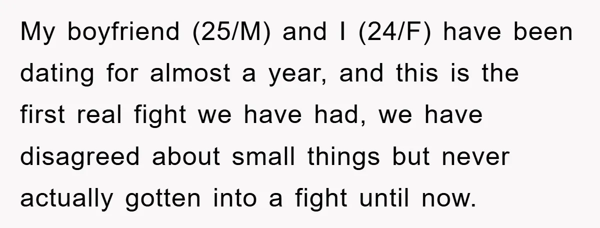 My boyfriend (25/M) and I (24/F) have been dating for almost a year, and this is the first real fight we have had, we have disagreed about small things but...