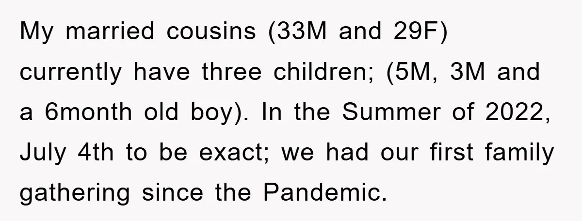 My married cousins (33M and 29F) currently have three children; (5M, 3M and a 6month old boy). In the Summer of 2022, July 4th to be exact; we had our...
