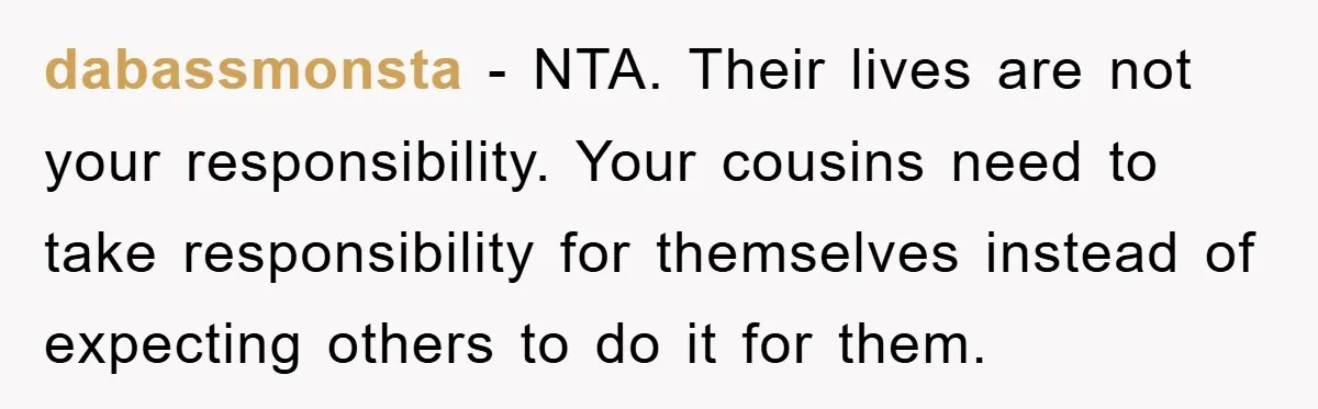 dabassmonsta − NTA. Their lives are not your responsibility. Your cousins need to take responsibility for themselves instead of expecting others to do it for them.