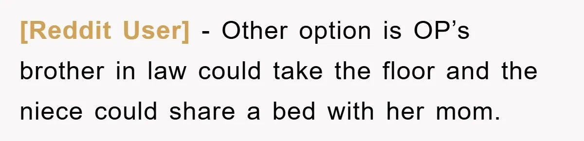 [Reddit User] - Other option is OP’s brother in law could take the floor and the niece could share a bed with her mom.