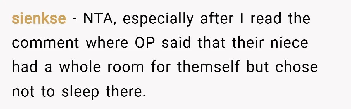 sienkse − NTA, especially after I read the comment where OP said that their niece had a whole room for themself but chose not to sleep there.