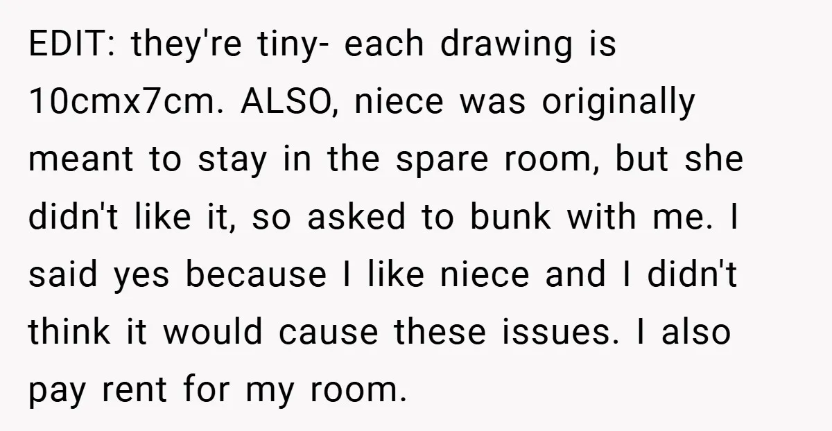 EDIT: they're tiny- each drawing is 10cmx7cm. ALSO, niece was originally meant to stay in the spare room, but she didn't like it, so asked to bunk with me. I...