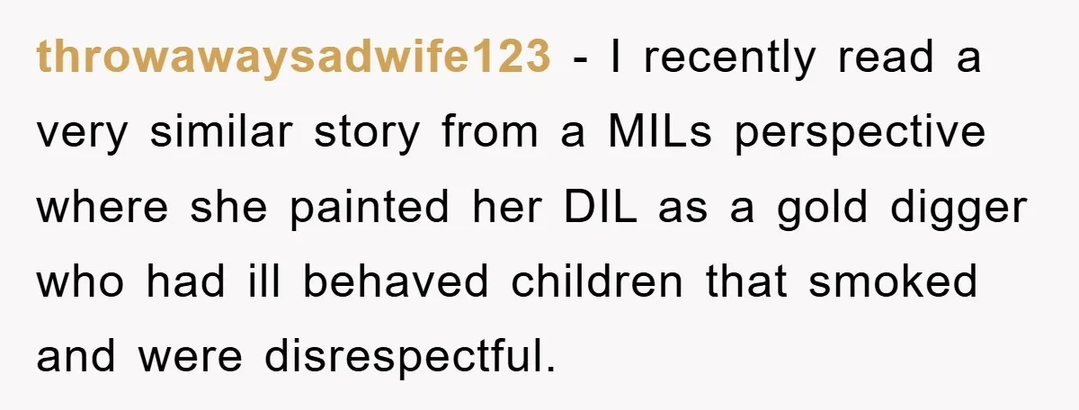 throwawaysadwife123 − I recently read a very similar story from a MILs perspective where she painted her DIL as a gold digger who had ill behaved children that smoked and...