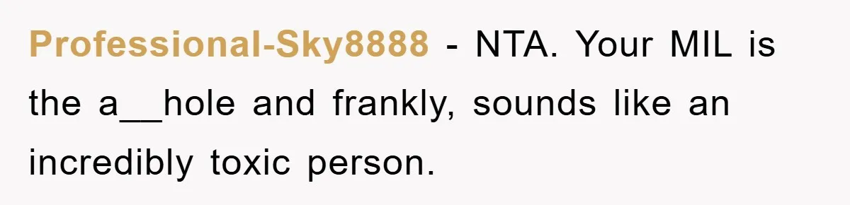 Professional-Sky8888 − NTA. Your MIL is the a__hole and frankly, sounds like an incredibly toxic person.