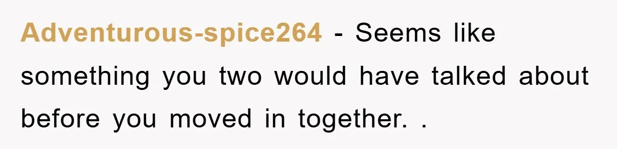 Adventurous-spice264 − Seems like something you two would have talked about before you moved in together. .