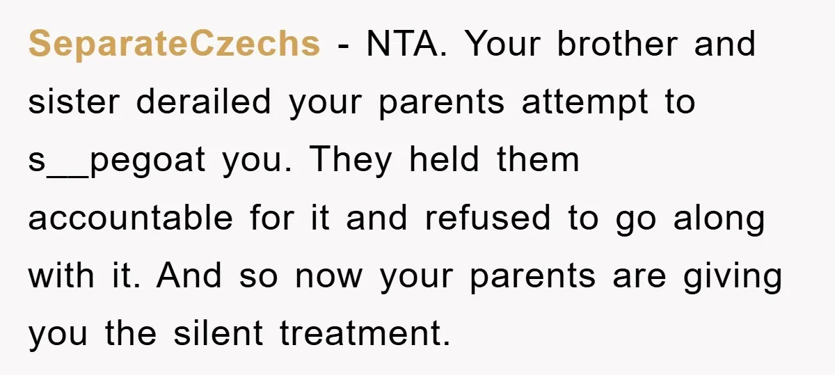 SeparateCzechs - NTA. Your brother and sister derailed your parents attempt to s__pegoat you. They held them accountable for it and refused to go along with it. And so now...