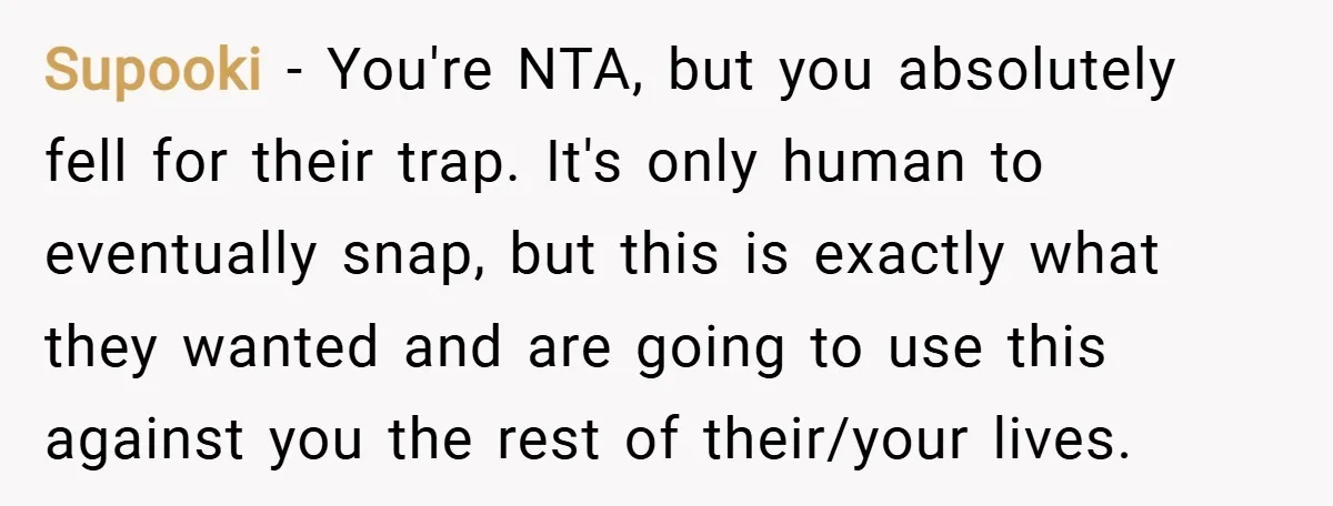 Supooki − You're NTA, but you absolutely fell for their trap. It's only human to eventually snap, but this is exactly what they wanted and are going to use this...