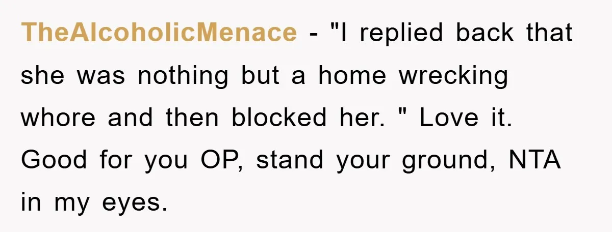 TheAlcoholicMenace − "I replied back that she was nothing but a home wrecking whore and then blocked her. " Love it. Good for you OP, stand your ground, NTA in...