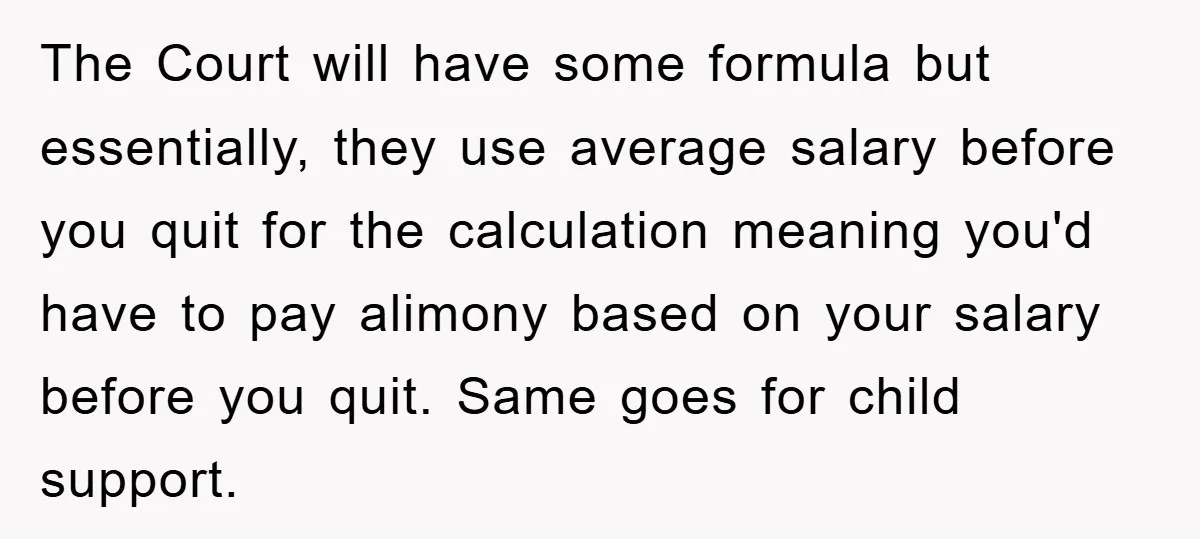 The Court will have some formula but essentially, they use average salary before you quit for the calculation meaning you'd have to pay alimony based on your salary before you...