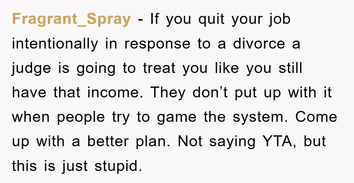 Fragrant_Spray − If you quit your job intentionally in response to a divorce a judge is going to treat you like you still have that income. They don’t put up...