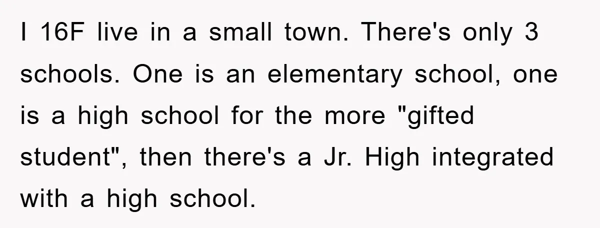 I 16F live in a small town. There's only 3 schools. One is an elementary school, one is a high school for the more "gifted student", then there's a Jr....