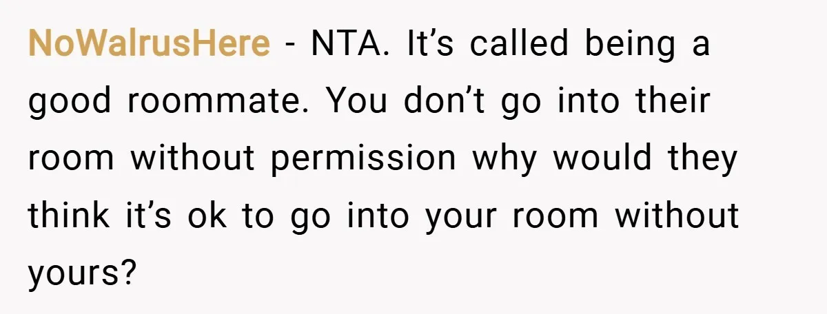 NoWalrusHere − NTA. It’s called being a good roommate. You don’t go into their room without permission why would they think it’s ok to go into your room without yours?