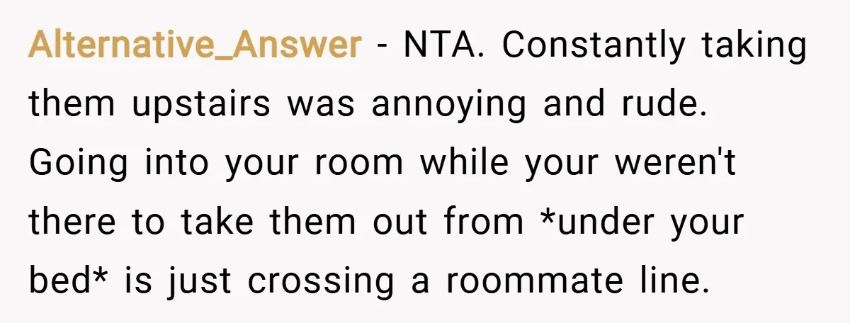 Alternative_Answer − NTA. Constantly taking them upstairs was annoying and rude. Going into your room while your weren't there to take them out from *under your bed* is just crossing...