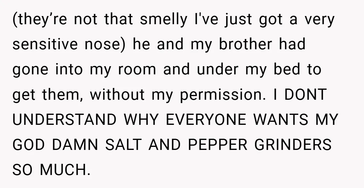 (they’re not that smelly I've just got a very sensitive nose) he and my brother had gone into my room and under my bed to get them, without my permission....