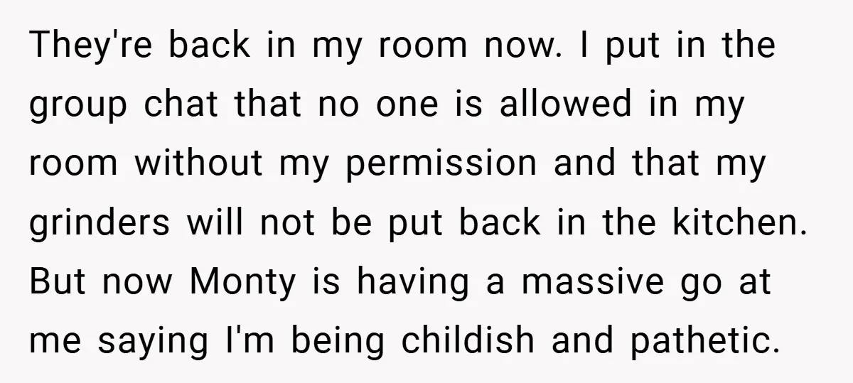 They're back in my room now. I put in the group chat that no one is allowed in my room without my permission and that my grinders will not be...