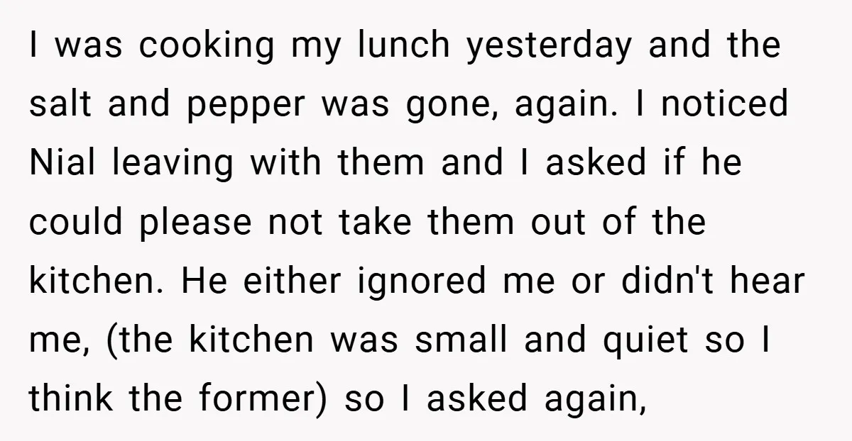 I was cooking my lunch yesterday and the salt and pepper was gone, again. I noticed Nial leaving with them and I asked if he could please not take them...