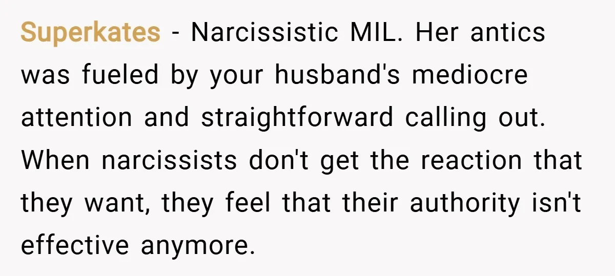 Superkates − Narcissistic MIL. Her antics was fueled by your husband's mediocre attention and straightforward calling out. When narcissists don't get the reaction that they want, they feel that their...