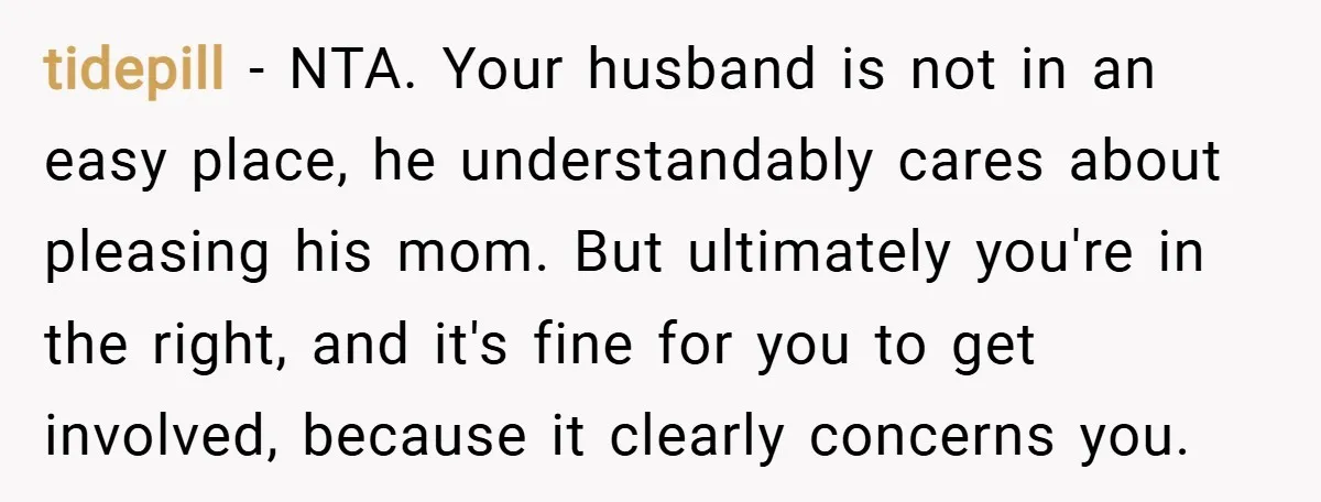 tidepill − NTA. Your husband is not in an easy place, he understandably cares about pleasing his mom. But ultimately you're in the right, and it's fine for you to...