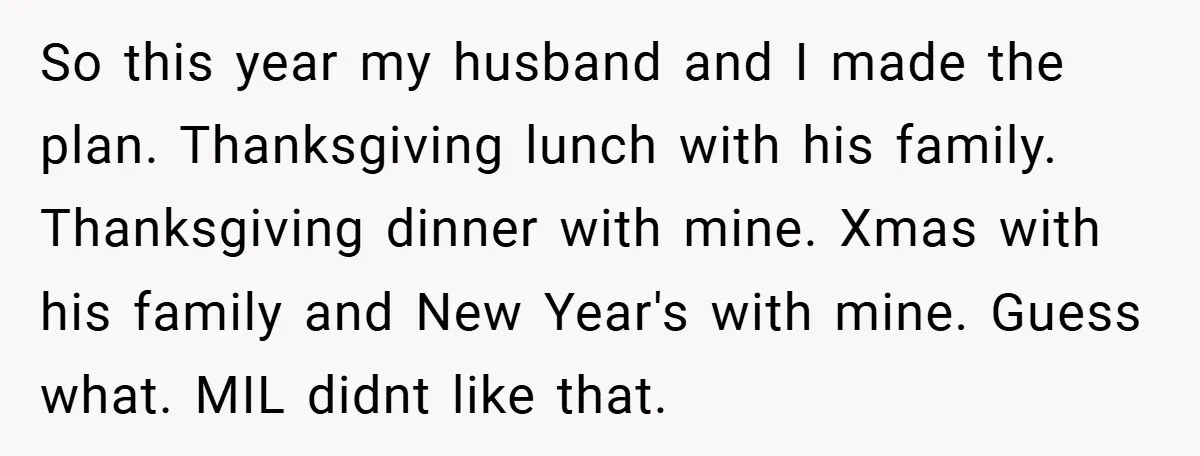 So this year my husband and I made the plan. Thanksgiving lunch with his family. Thanksgiving dinner with mine. Xmas with his family and New Year's with mine. Guess what....