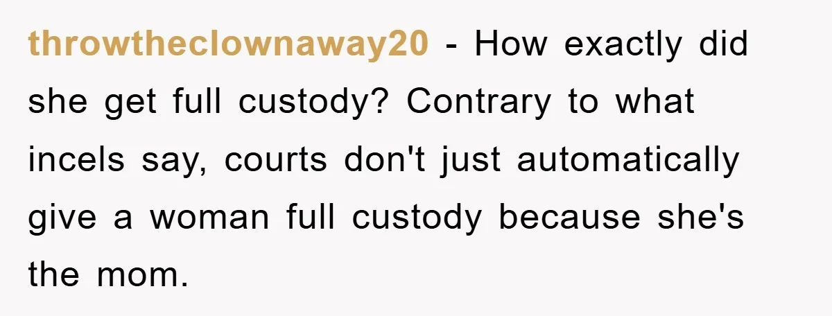 throwtheclownaway20 − How exactly did she get full custody? Contrary to what incels say, courts don't just automatically give a woman full custody because she's the mom.