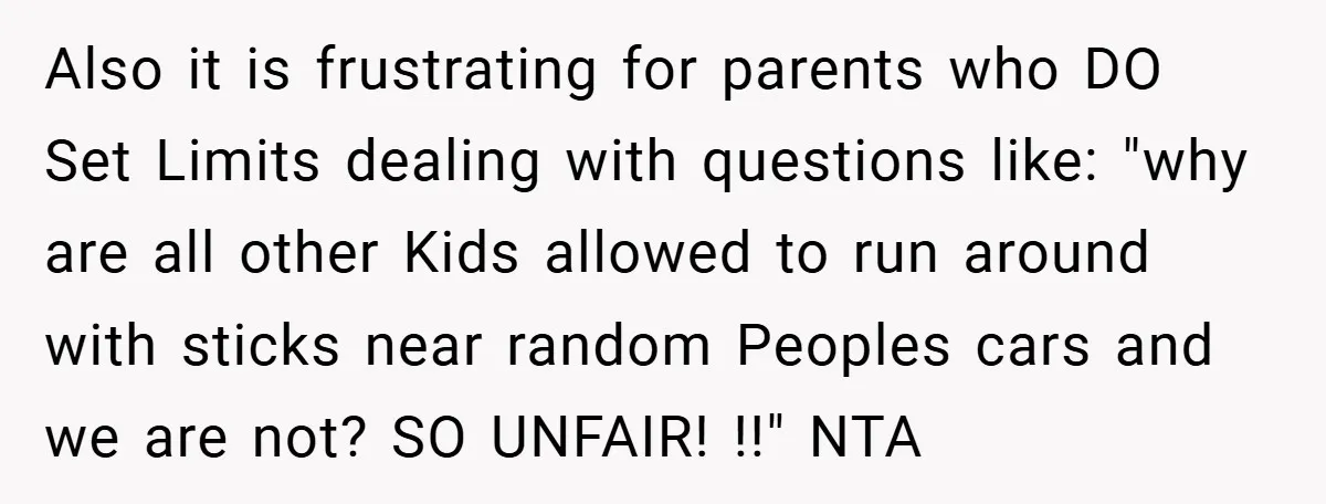 Also it is frustrating for parents who DO Set Limits dealing with questions like: "why are all other Kids allowed to run around with sticks near random Peoples cars and...
