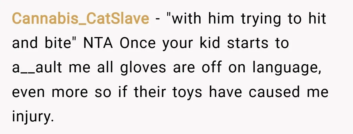 Cannabis_CatSlave − "with him trying to hit and bite" NTA Once your kid starts to a__ault me all gloves are off on language, even more so if their toys have...