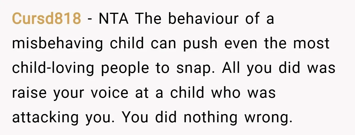 Cursd818 − NTA The behaviour of a misbehaving child can push even the most child-loving people to snap. All you did was raise your voice at a child who was...