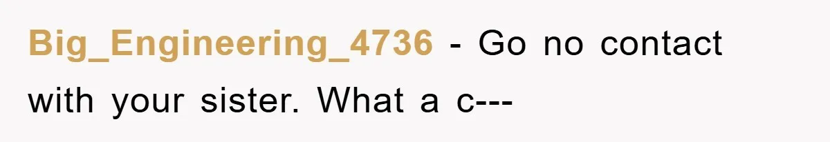 Big_Engineering_4736 - Go no contact with your sister. What a c---