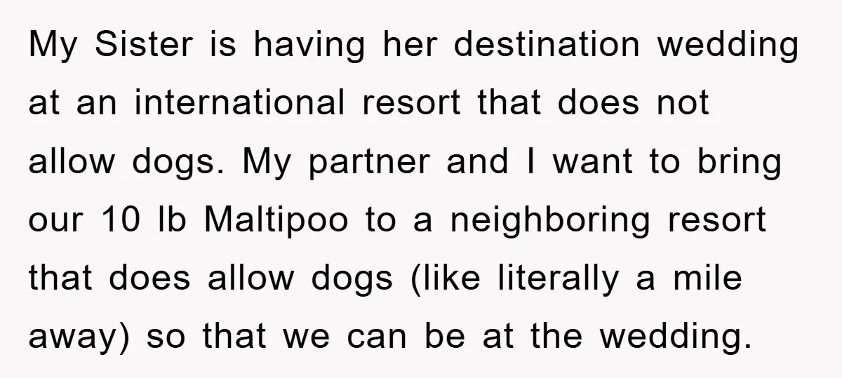 My Sister is having her destination wedding at an international resort that does not allow dogs. My partner and I want to bring our 10 lb Maltipoo to a neighboring...