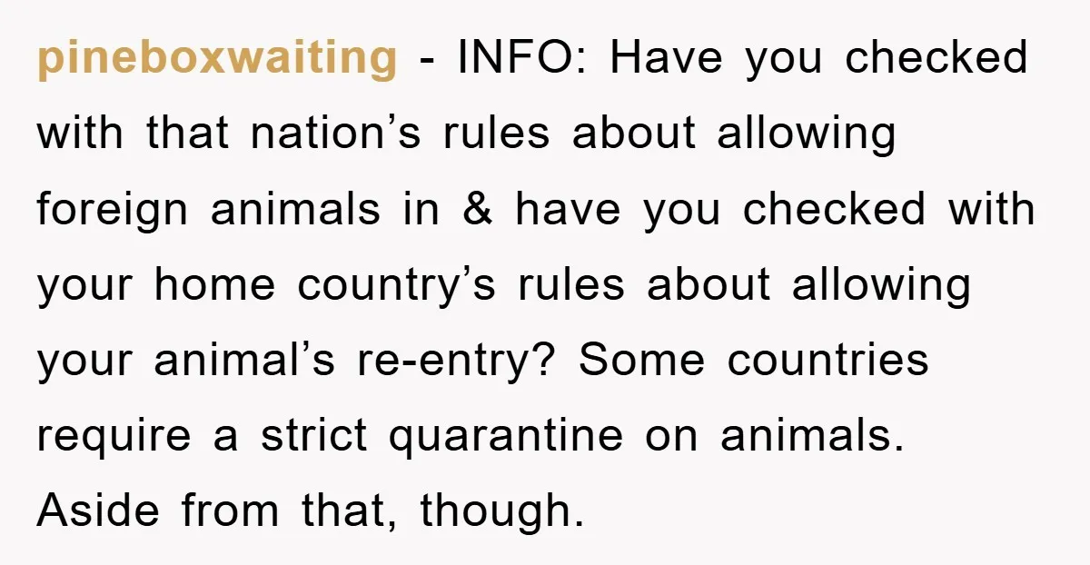pineboxwaiting − INFO: Have you checked with that nation’s rules about allowing foreign animals in & have you checked with your home country’s rules about allowing your animal’s re-entry? Some...