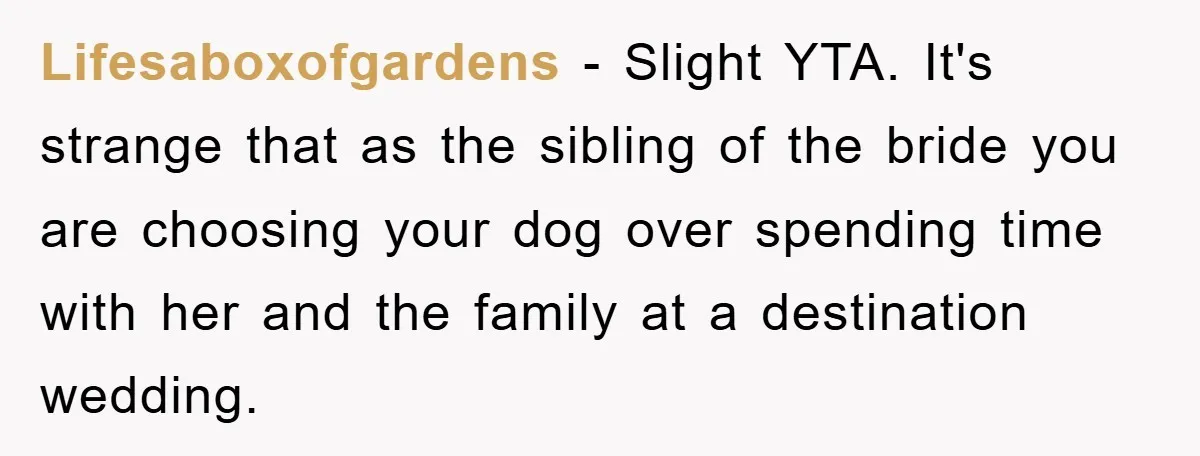 Lifesaboxofgardens − Slight YTA. It's strange that as the sibling of the bride you are choosing your dog over spending time with her and the family at a destination wedding.