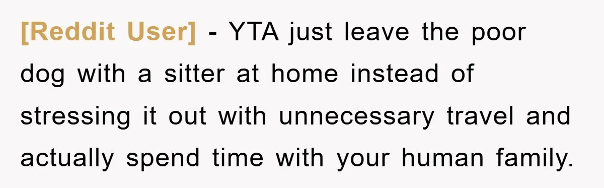 [Reddit User] − YTA just leave the poor dog with a sitter at home instead of stressing it out with unnecessary travel and actually spend time with your human family.