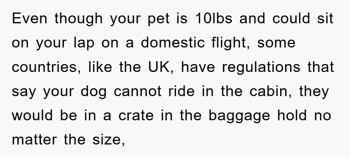 Even though your pet is 10lbs and could sit on your lap on a domestic flight, some countries, like the UK, have regulations that say your dog cannot ride in...