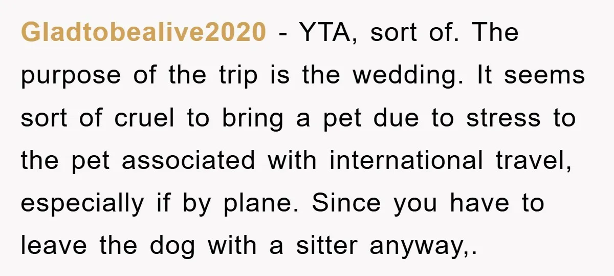 Gladtobealive2020 − YTA, sort of. The purpose of the trip is the wedding. It seems sort of cruel to bring a pet due to stress to the pet associated with...