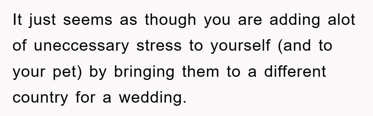 It just seems as though you are adding alot of uneccessary stress to yourself (and to your pet) by bringing them to a different country for a wedding.