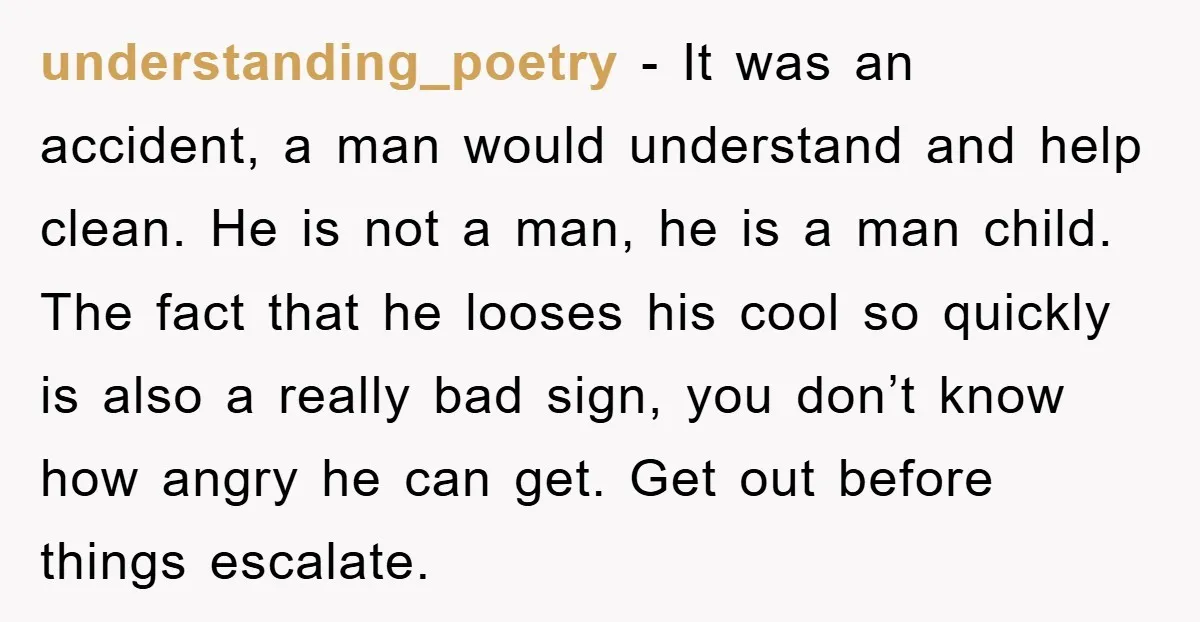 understanding_poetry − It was an accident, a man would understand and help clean. He is not a man, he is a man child. The fact that he looses his cool...
