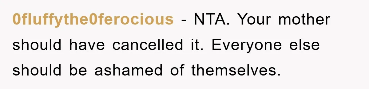 0fluffythe0ferocious − NTA. Your mother should have cancelled it. Everyone else should be ashamed of themselves.