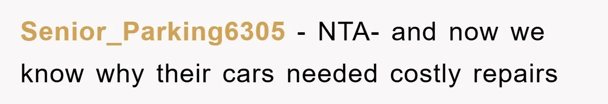 Senior_Parking6305 − NTA- and now we know why their cars needed costly repairs