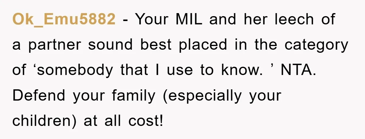 Ok_Emu5882 − Your MIL and her leech of a partner sound best placed in the category of ‘somebody that I use to know. ’ NTA. Defend your family (especially your...