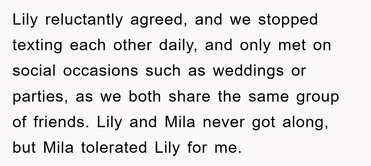Lily reluctantly agreed, and we stopped texting each other daily, and only met on social occasions such as weddings or parties, as we both share the same group of friends....